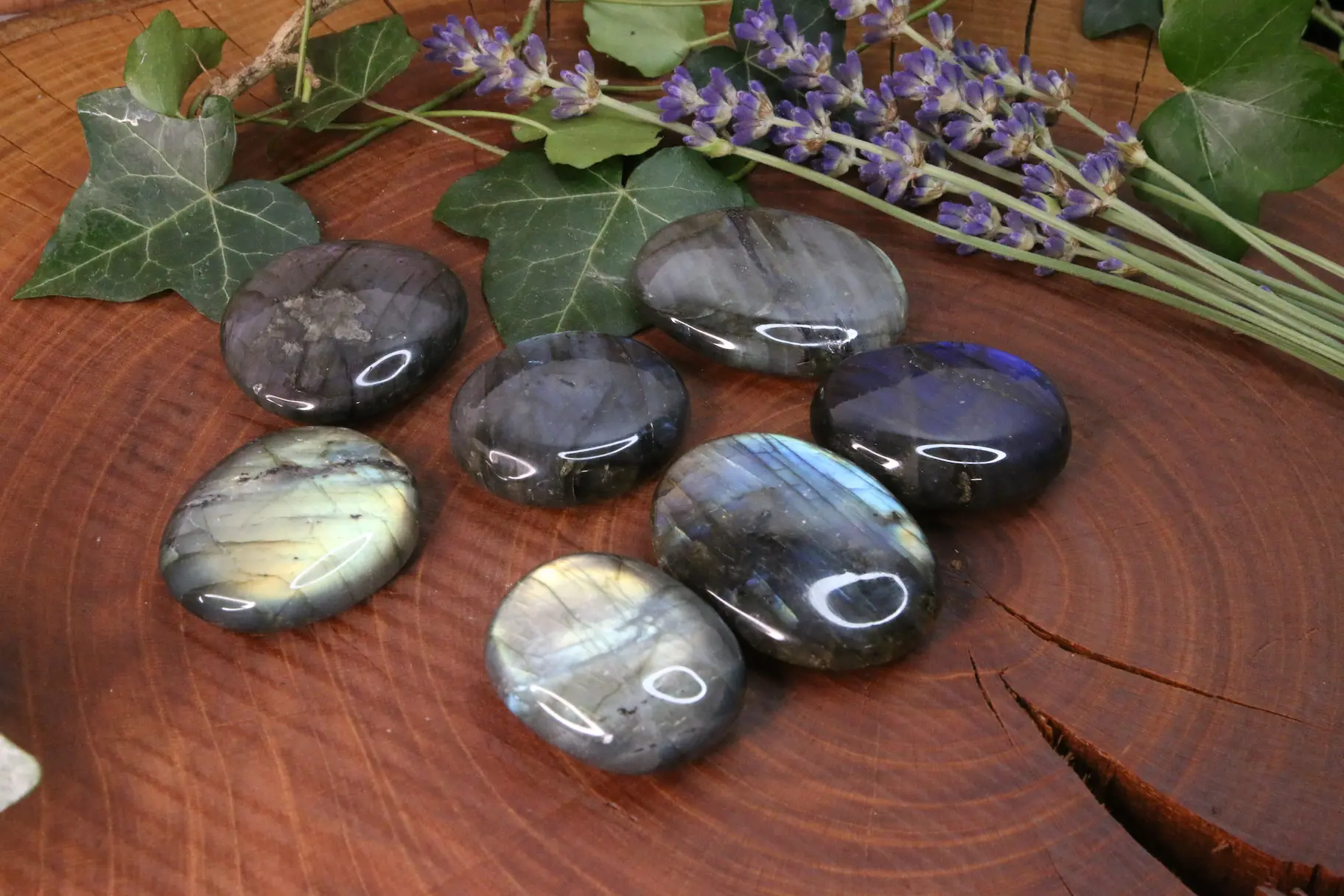 galet labradorite sur bois