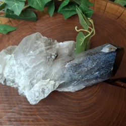 cristal de roche sur bois